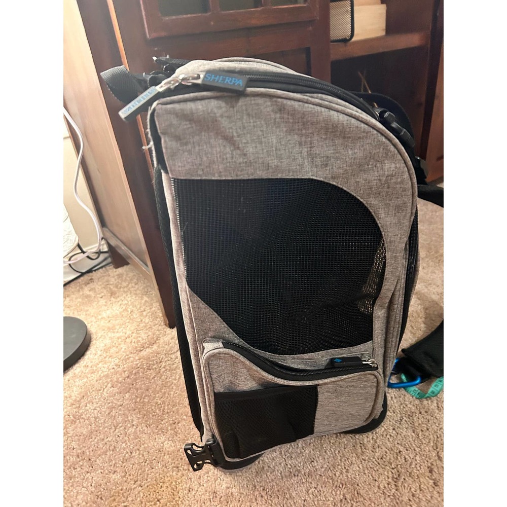Luxury Travel for pets! - Picture 15 of 16